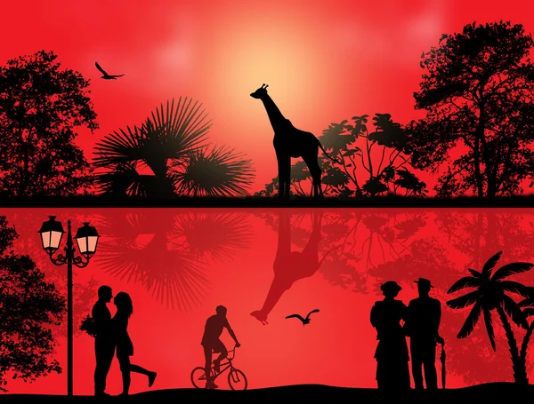 Safari parque e pessoas silhueta no pôr do sol —  Vetores de Stock