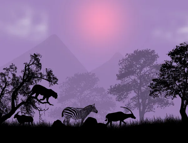 Safari al atardecer — Vector de stock