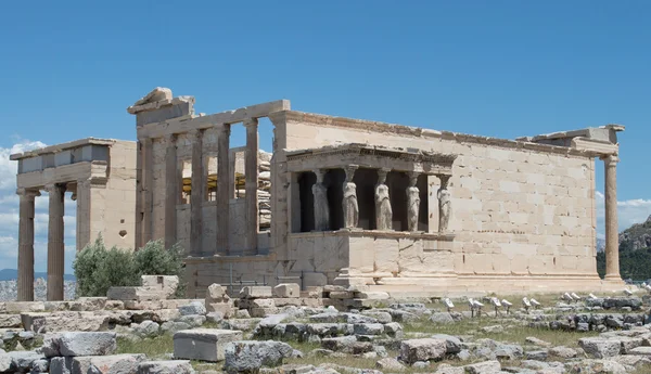 Pártenon na Acrópole em Atenas — Fotografia de Stock