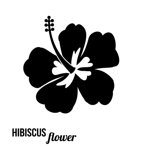 Hibiscus bloem — Stockvector