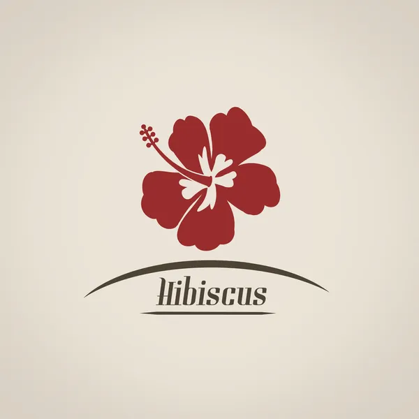 Hibiscus çiçek retro poster — Stok Vektör
