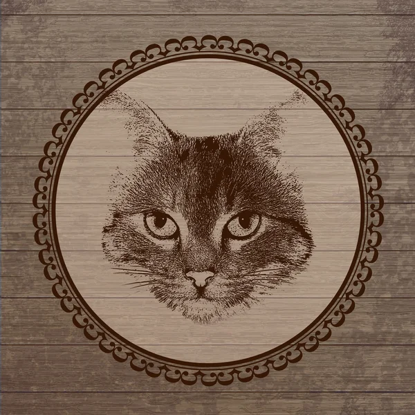 Cat portrait on wooden background — Stock Vector