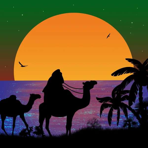 Camel caravan at sunset — Stock Vector