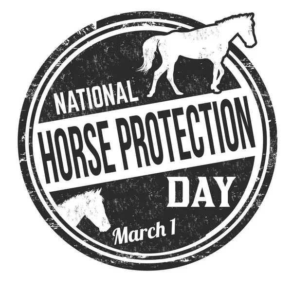 National Horse Protection Day Grunge Rubber Stamp White Background Vector — Stock Vector