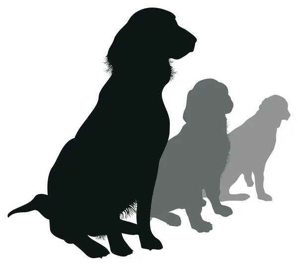 Čtyři psí siluety — Stockový vektor