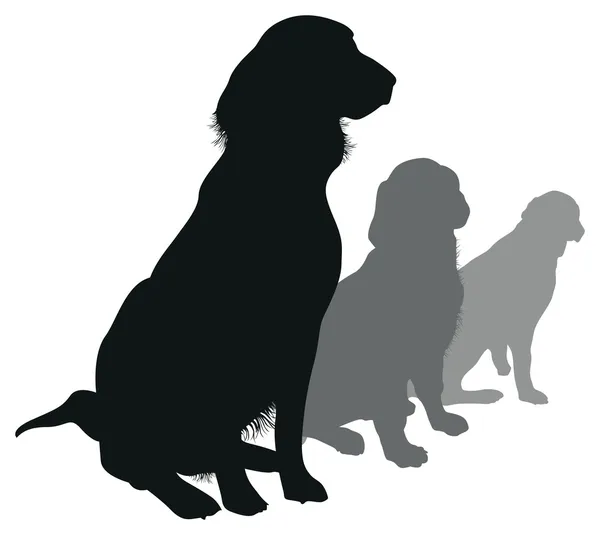 Vier hond silhouetten — Stockvector