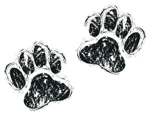 Dog paws — Stock Vector