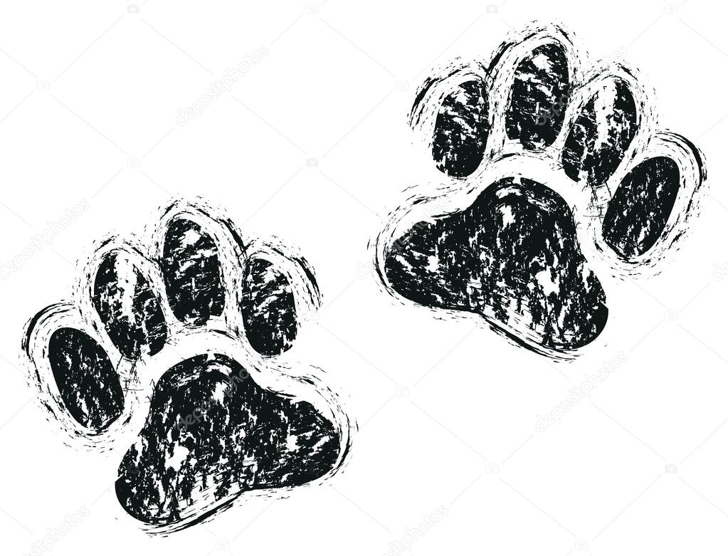 Dog paws