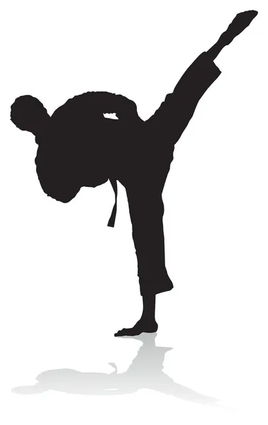 Karate silhouet — Stockvector