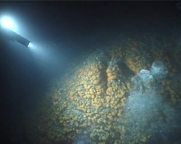 Подводный оператор — стоковое видео