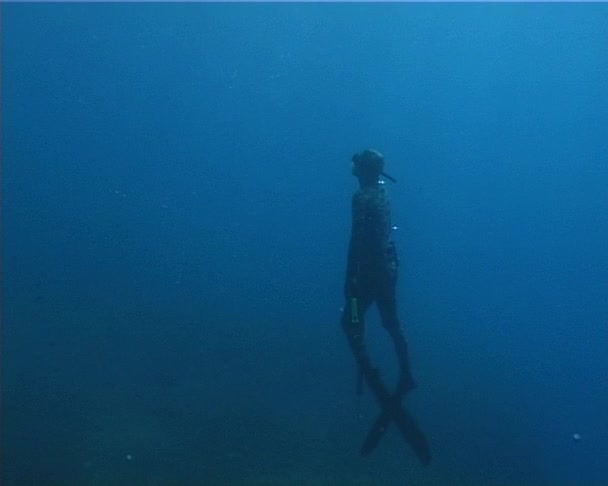 Apnea diver hunter — Stock Video