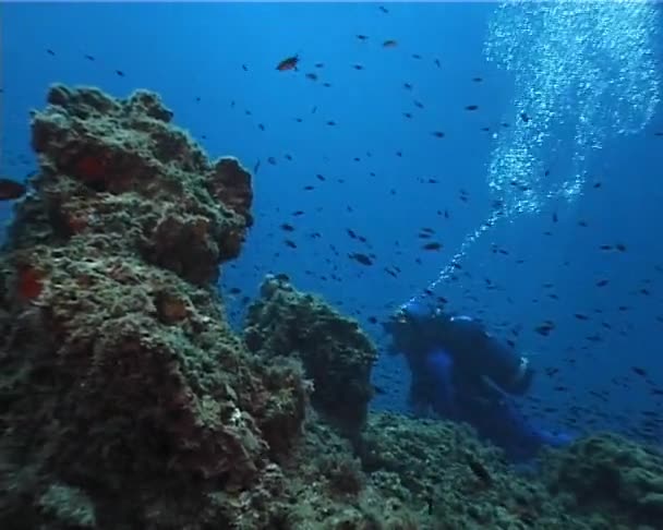 Подводная сцена — стоковое видео