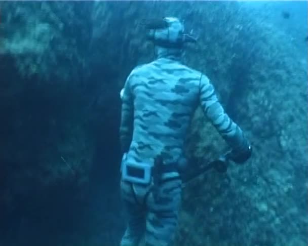 Apnea hunter diver — Stock Video