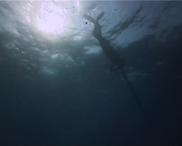 Apneia caçador mergulhador — Vídeo de Stock