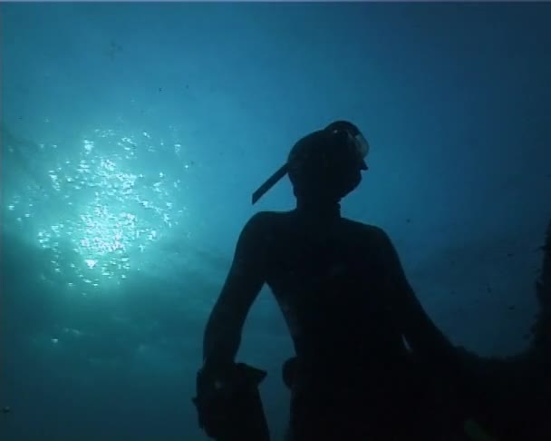 Apnea cazador de buzos — Vídeos de Stock