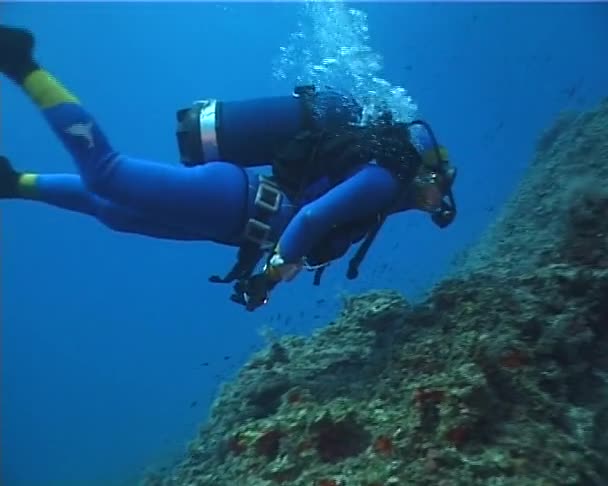 Diver in open water — Stock Video