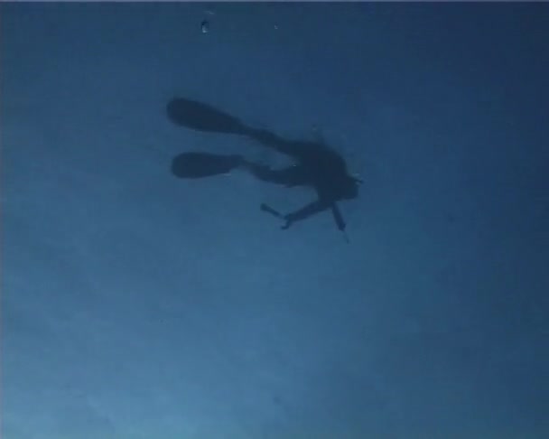 呼吸暂停猎人潜水员 — 图库视频影像