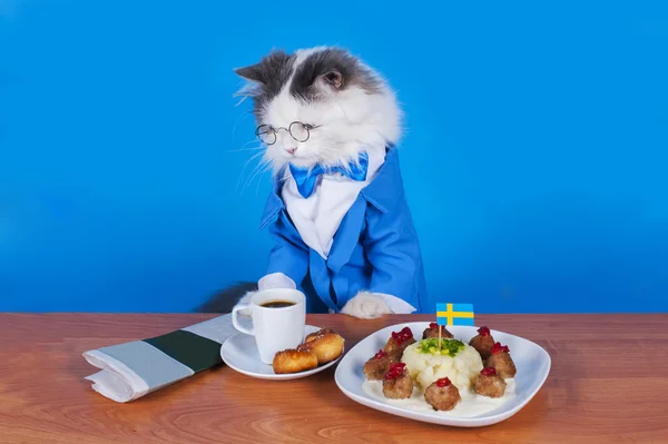 Gatto uomo d'affari pranzo svedese polpette — Foto Stock