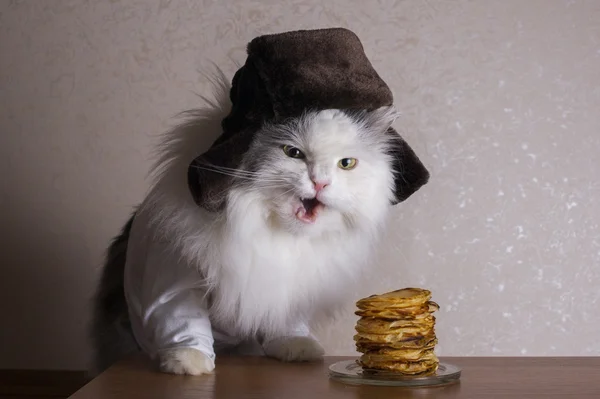 Gatto nel cappello mangia frittelle — Foto Stock