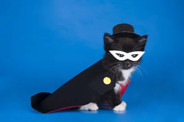 Котенок в костюме фокусника — стоковое фото