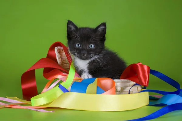 Kleine kitten spelen in de gekleurde linten — Stockfoto