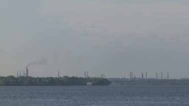 büyük boru ile bitki.