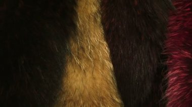 Fur coats of different colors