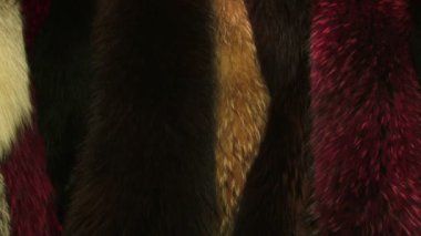 Fur coats in a store
