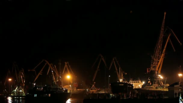 Grues à cargaison dans un port — Video