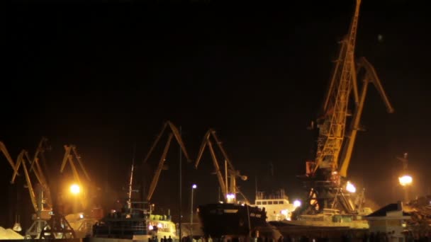 Two cargo cranes — Stock Video