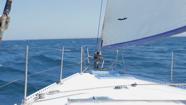 Fouiller à travers les vagues 