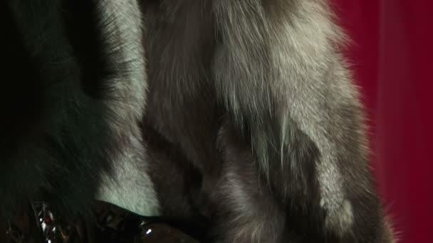 妇女的毛皮大衣 — 图库视频影像