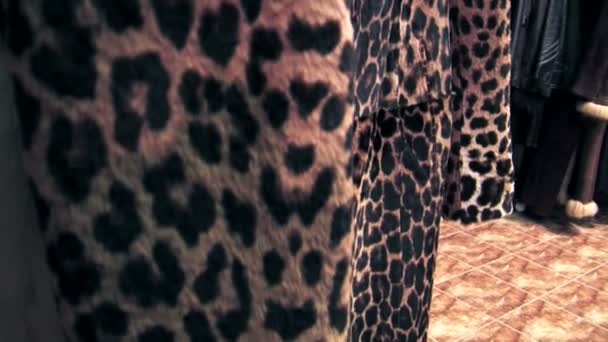 Леопардовое пальто — стоковое видео