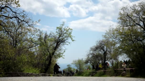 Гонки в лісі — стокове відео