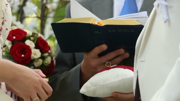 Ceremonia de boda — Vídeo de stock