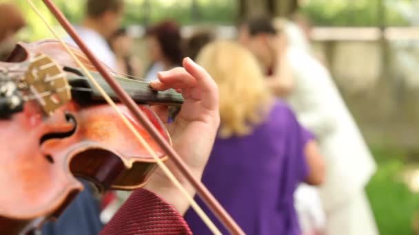 Tocando violinista — Vídeo de Stock