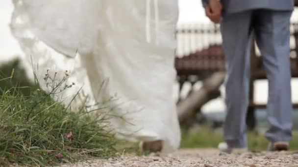 Newly weds walking hand in hand — Stock Video