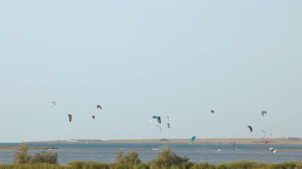 滑翔伞在阳光明媚的一天 — 图库视频影像