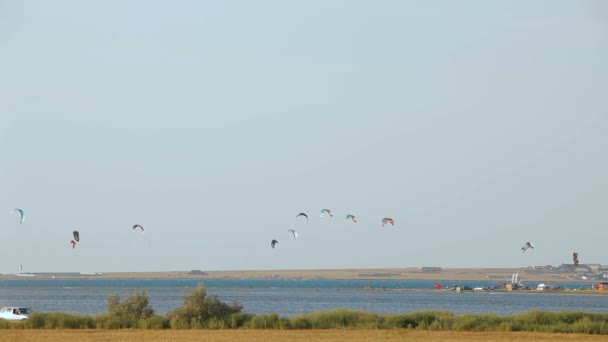 Парапланінг над морем — стокове відео