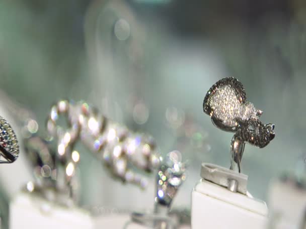 Bijouterie sur vitrine 