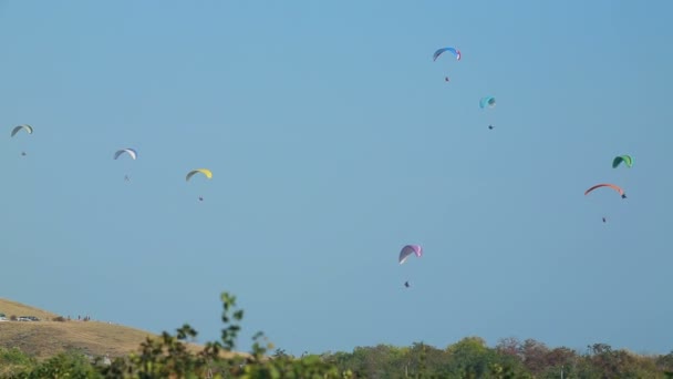 Zweefvliegen boven het veld — Stockvideo