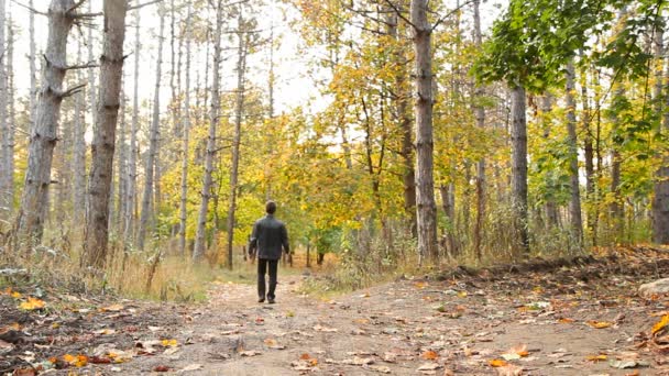 Een man in het bos — Stockvideo