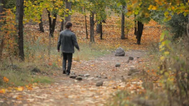 Прогулянка в осінньому лісі — стокове відео