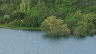 Ormanın yakınındaki göl