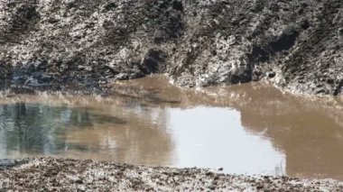 Simferopol, Ukrayna - 2 Temmuz: vintage arabalar katılmak Kırım 