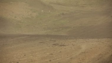 Simferopol, Ukrayna - 2 Temmuz: vintage arabalar katılmak Kırım 