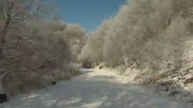 karlı bir yol üzerinde bir yolculuk şehir dışında. zaman atlamalı.