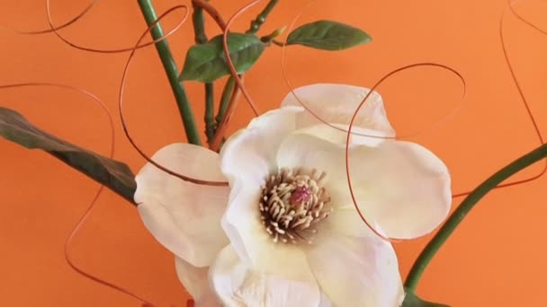 Fausses fleurs — Video