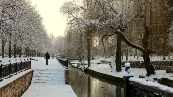 Parque de invierno — Vídeo de stock