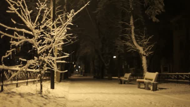 冬季公园 — 图库视频影像